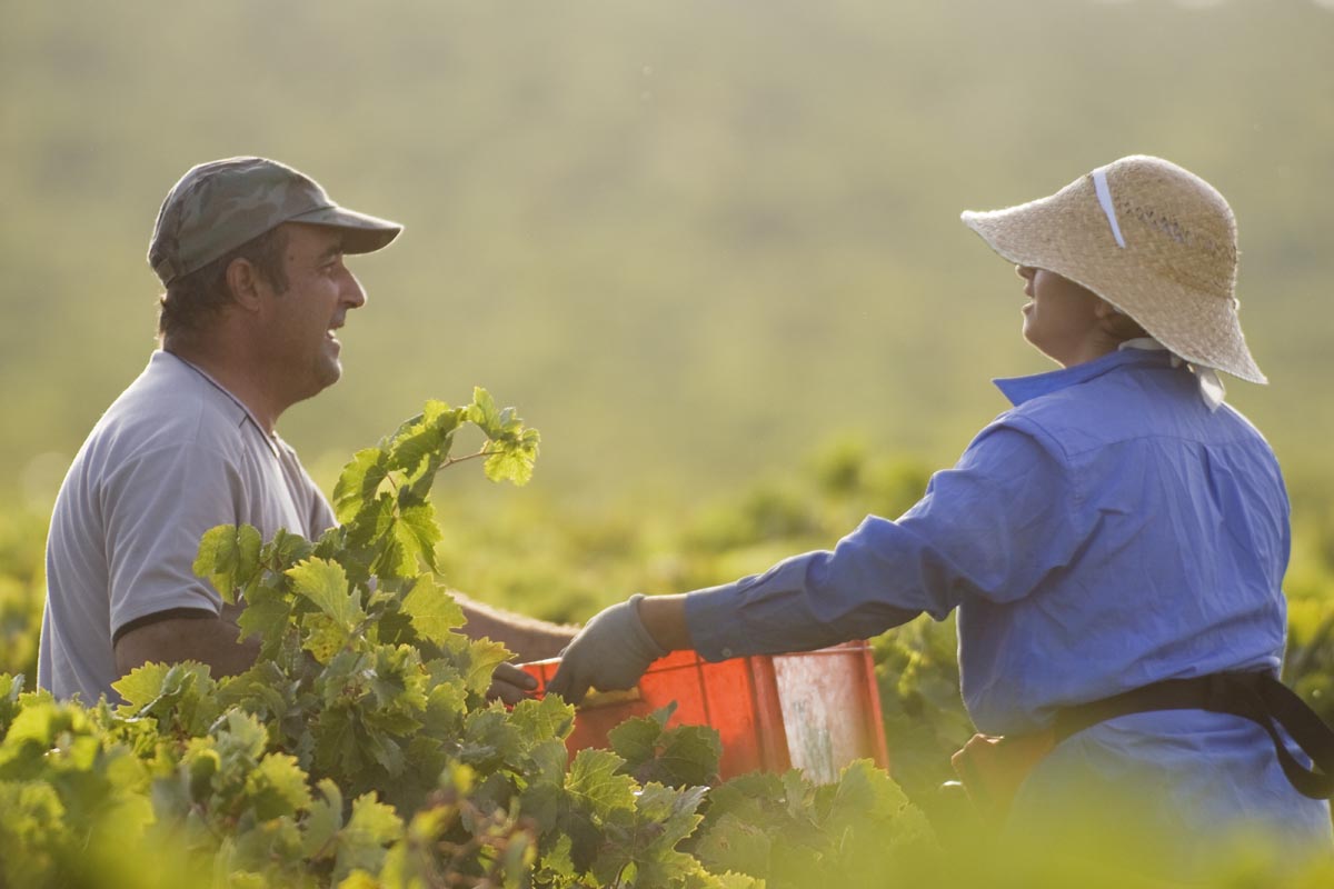 Retire tudo que te impede de produzir.